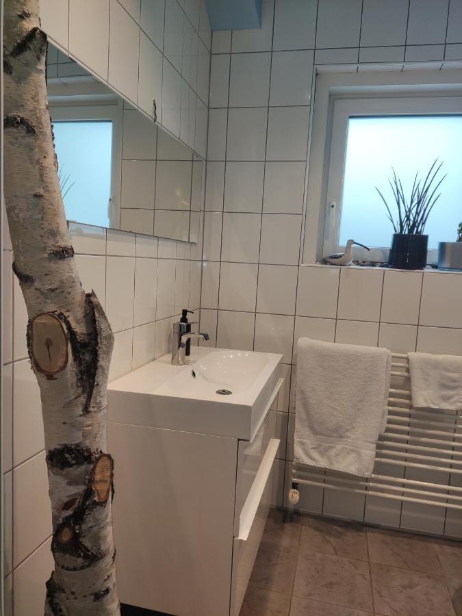 Zen Apartment - Spacious - Garden - Kitchen Karlsruhe Luaran gambar
